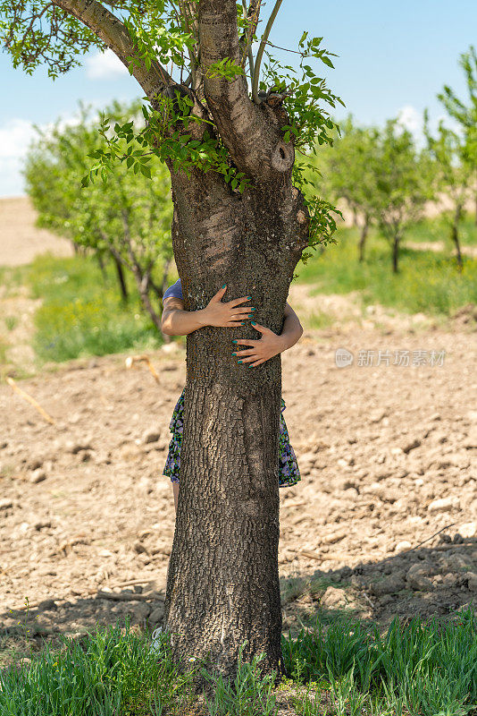 女人抱着树干。环保，节约环保。绿色的指甲油。