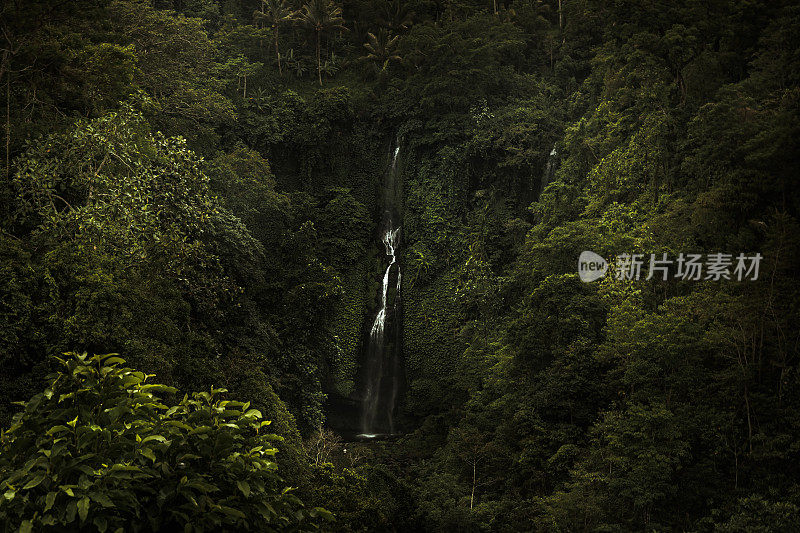 峡谷瀑布的岩石拱顶覆盖着茂盛的树叶植物附近美丽的巴厘岛瀑布Sekumpul在印度尼西亚巴厘岛的热带森林