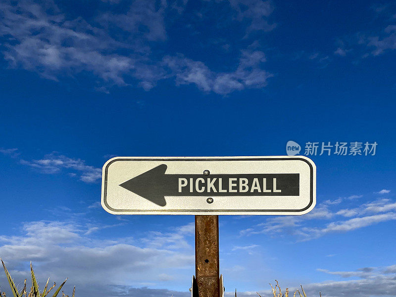 Pickleball