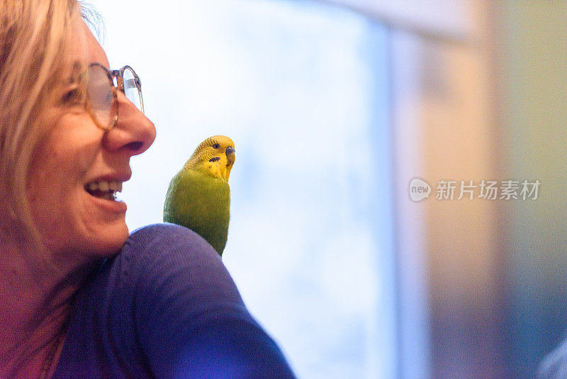 微笑的女人享受她的可爱的小绿色和黄色虎皮鹦鹉的陪伴