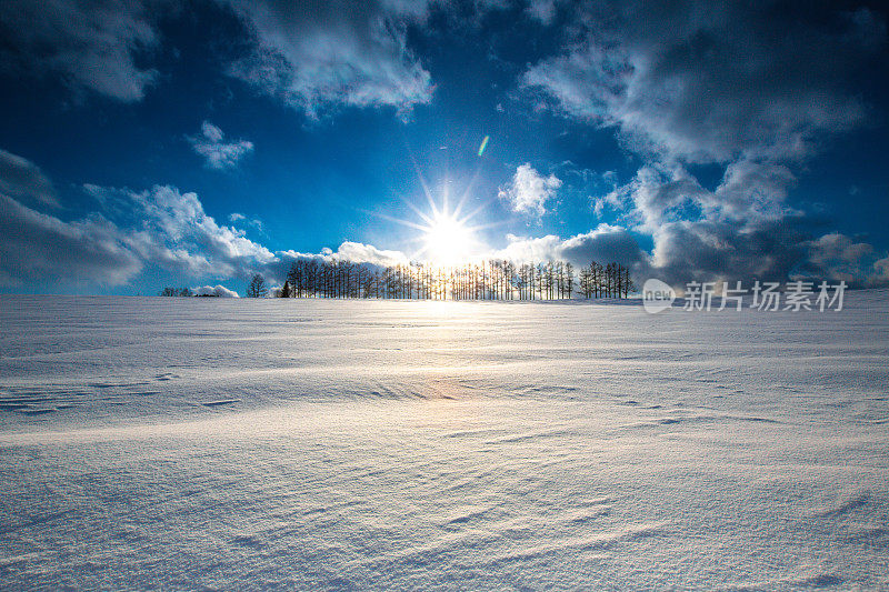 落叶松林在雪山上，碧蓝的天空在比北