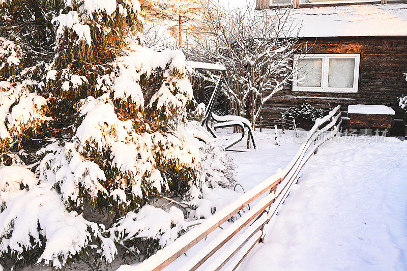 后院花园里的树被雪覆盖着