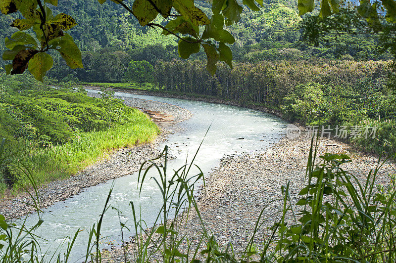 戏剧性的Savegre河郁郁葱葱的景观，哥斯达黎加