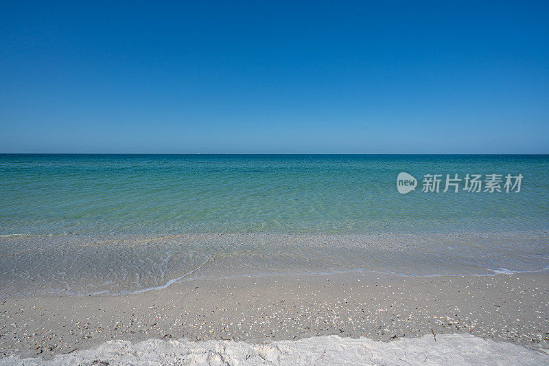 美国佛罗里达州海湾海岸的金银岛海滩上的贝壳和美丽的绿松石水