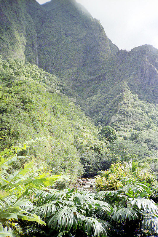 毛伊岛山