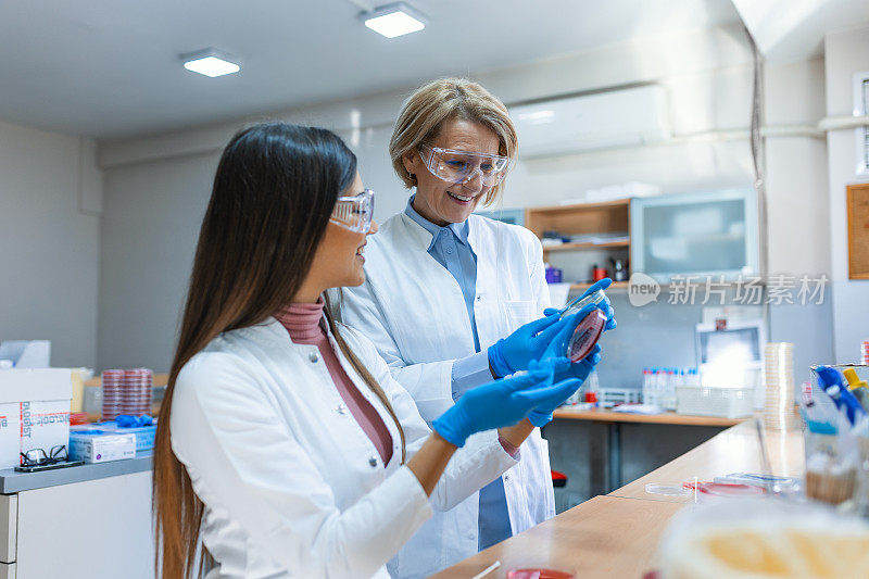 科学家用培养皿处理各种细菌、组织和血液样本。抗生素药物研究的概念，用DNA增强药物治疗疾病。