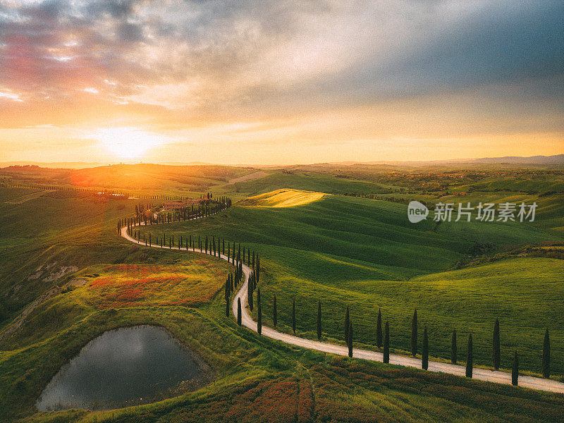 托斯卡纳柏树道路和起伏的景观