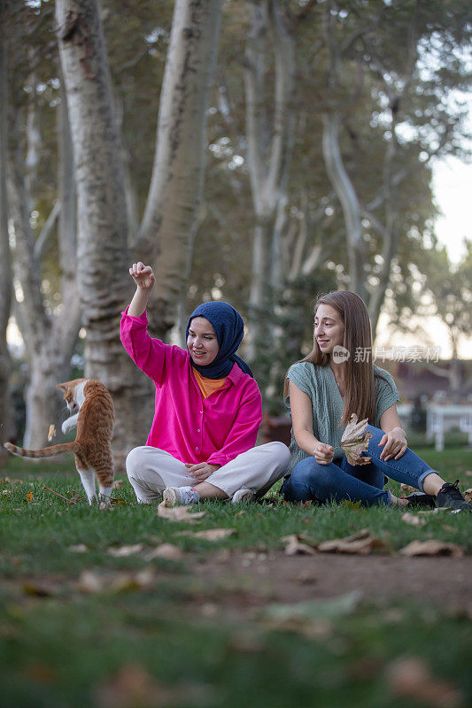 两个小朋友在公园里和一只流浪猫玩耍。