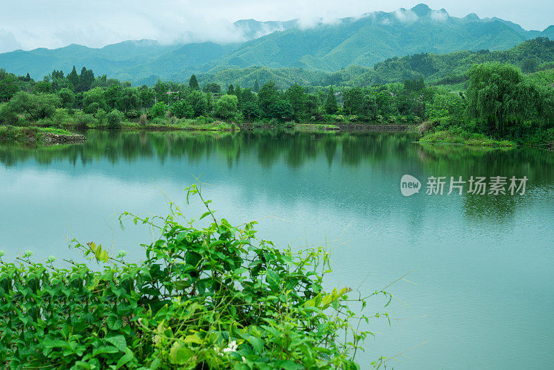 青山绿水