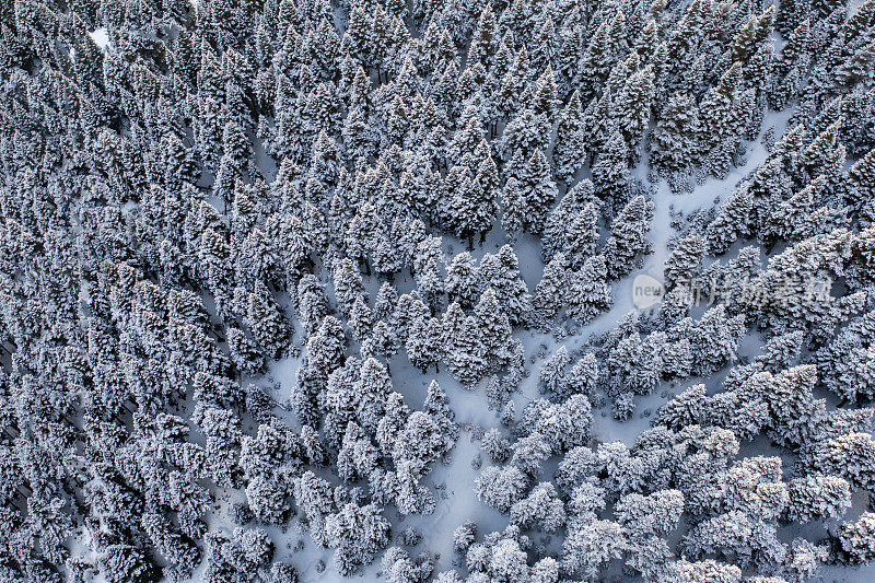 伊尔加兹山国家公园鸟瞰图，由无人机拍摄