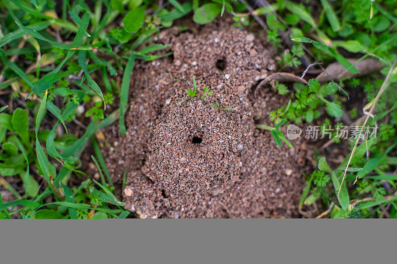 人群密集的地方