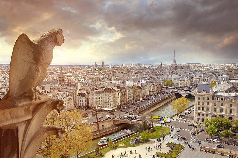 从巴黎圣母院俯瞰巴黎