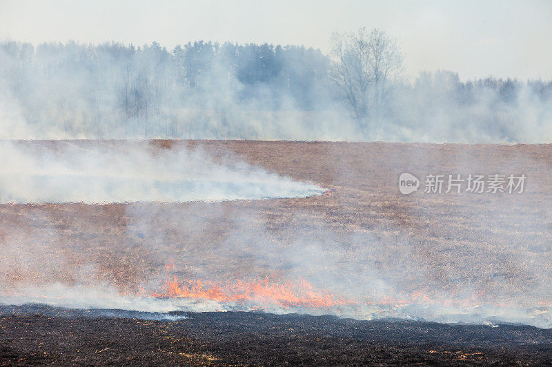 田野着火了，干草在燃烧