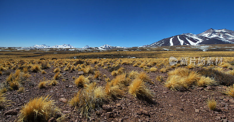 风景-阿塔卡马沙漠-安第斯山脉-雪山-安第斯高原