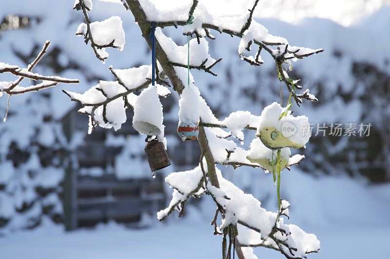 2019年1月暴风雪后的花园和池塘。巴伐利亚,德国。