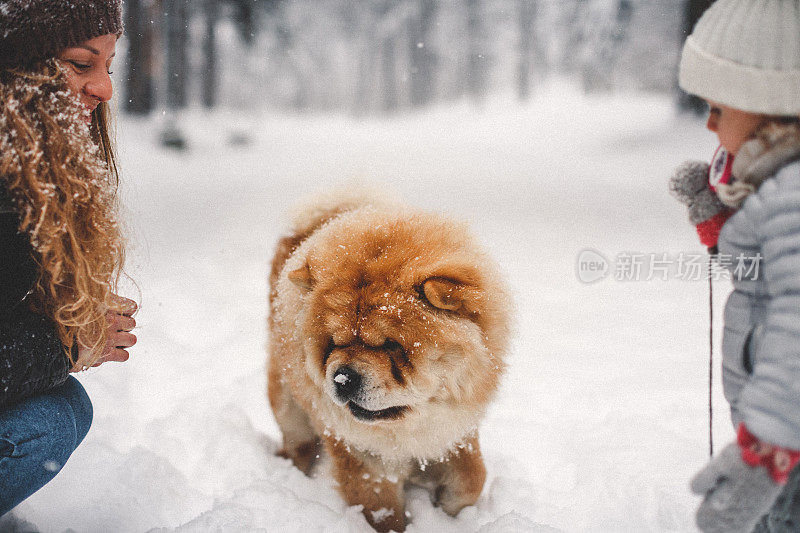 雪中的聚会时间