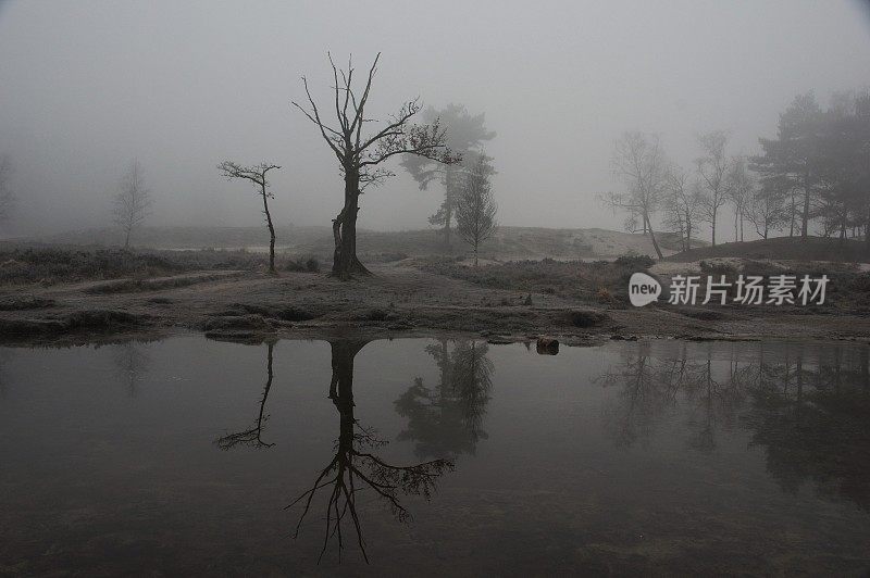 水边雾蒙蒙的早晨