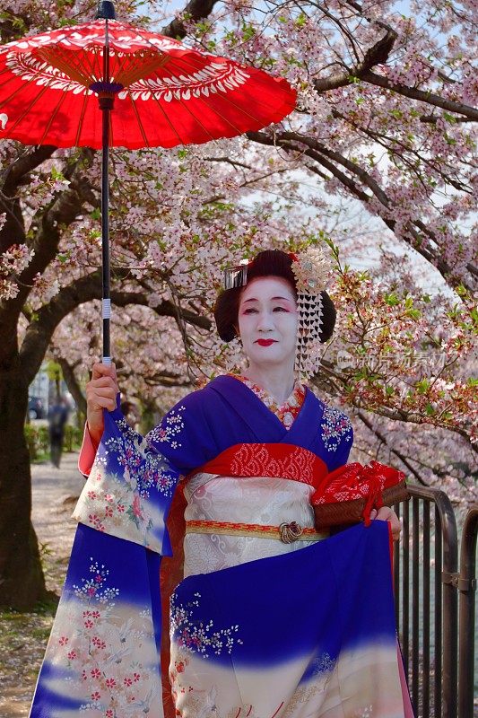 穿着美子服饰的日本妇女在京都运河边欣赏樱花