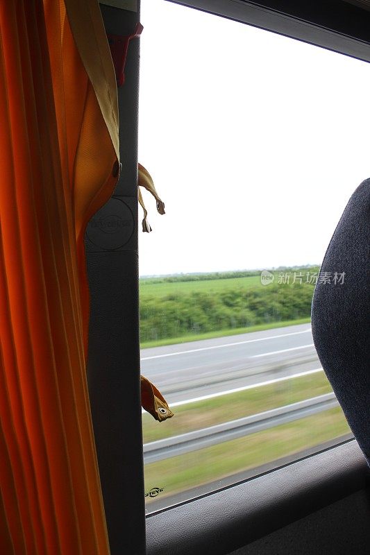 在公共汽车上手拉手的女人