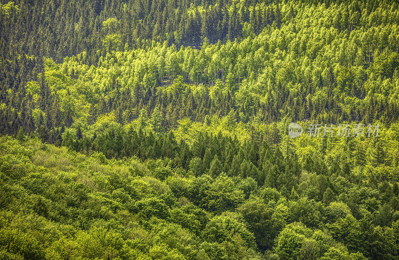 全景山景