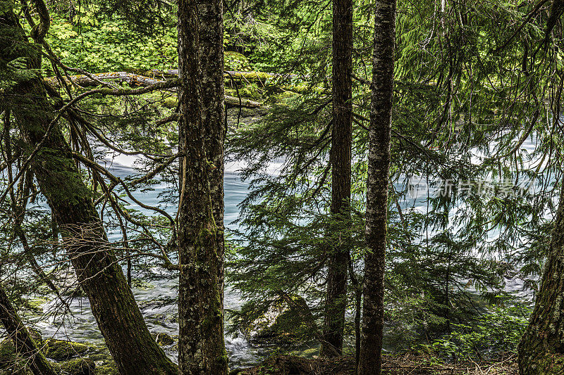 奇卡穆斯湖步道，惠斯勒，B.C.