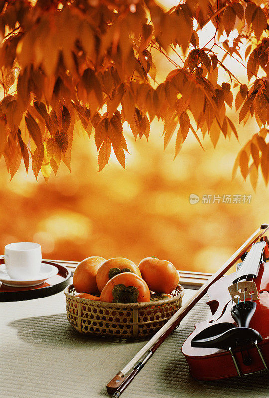 秋叶上挂着一篮柿子、一把小提琴和一把弓