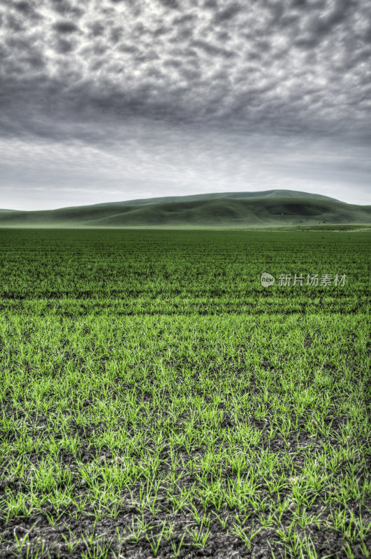 加州草原(HDR)