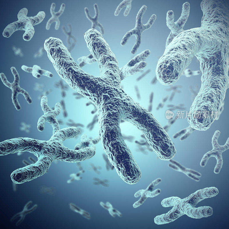 染色体的科学概念，为基因治疗提供了深入的医学符号