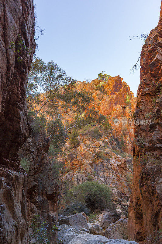 澳大利亚北领地的斯丹利峡谷水坑
