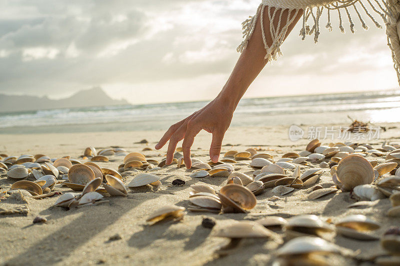 日落时分，一个女人的手在海滩上捡贝壳