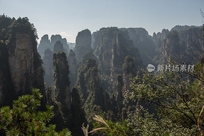 砂岩柱，张家界国家森林公园，中国