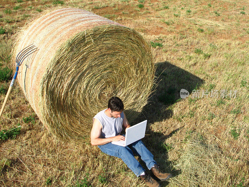 在任何地方计算:人与笔记本电脑坐在圆形干草包
