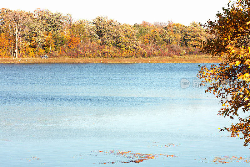 秋天的明尼苏达湖