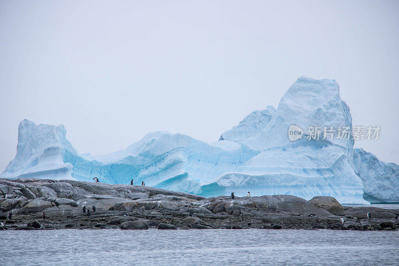 南极洲:达莫角的冰山