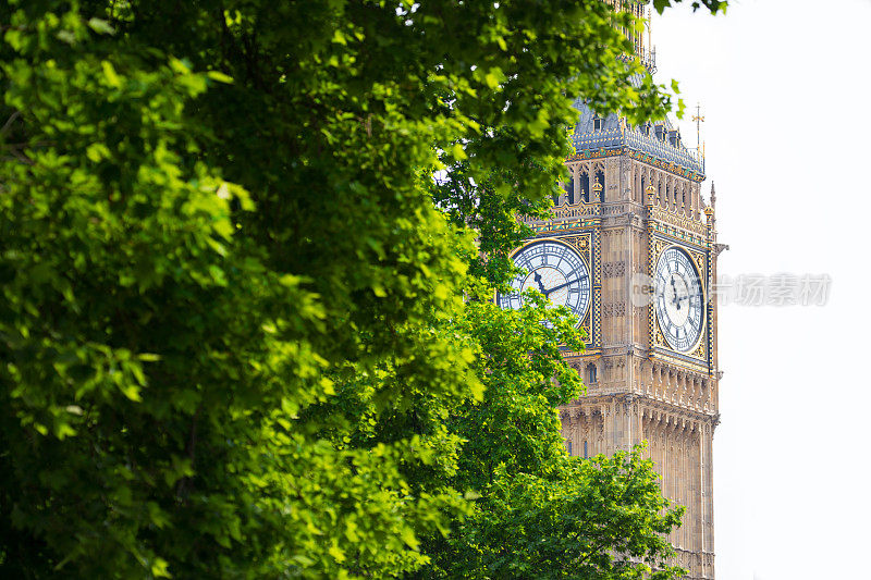 英国伦敦，大本钟躲在树叶后面