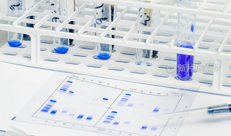 DNA实验室测试