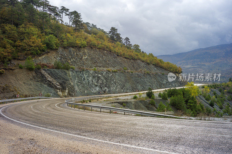 土耳其sakarya附近的秋日松林旁的道路