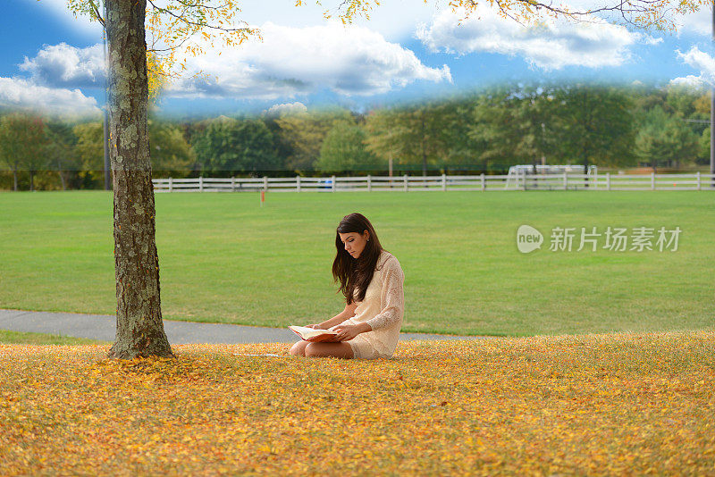 美丽的年轻女子在户外阅读在最晴朗的天空下