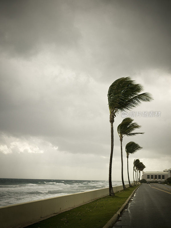飓风拍打着海岸