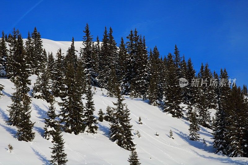 冬季奥地利萨尔巴赫马戏团滑雪胜地