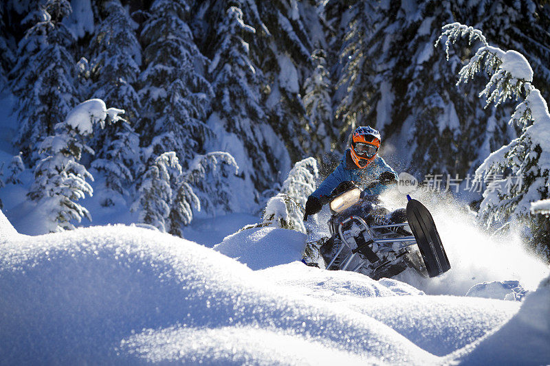 机动雪上摩托车在松树下的斜坡上滑行的动作镜头