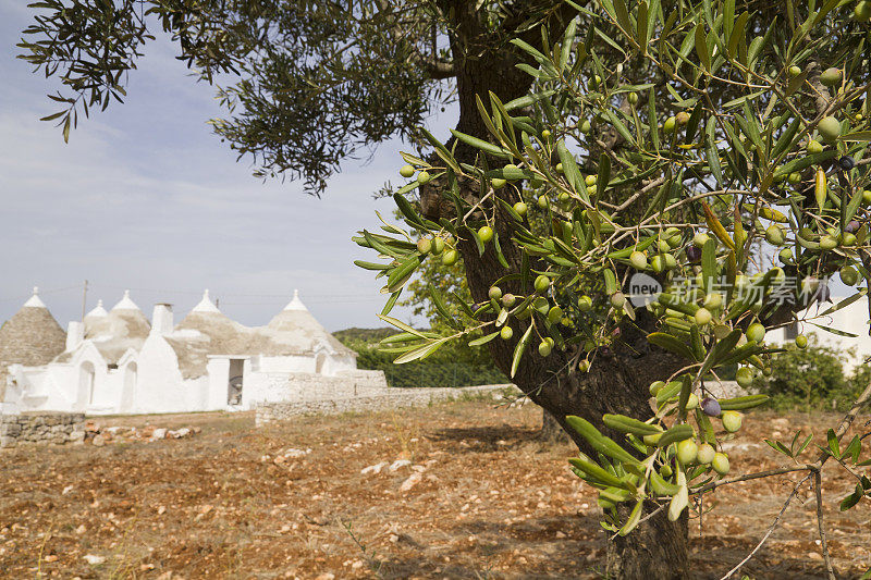 意大利古董屋“Trulli”