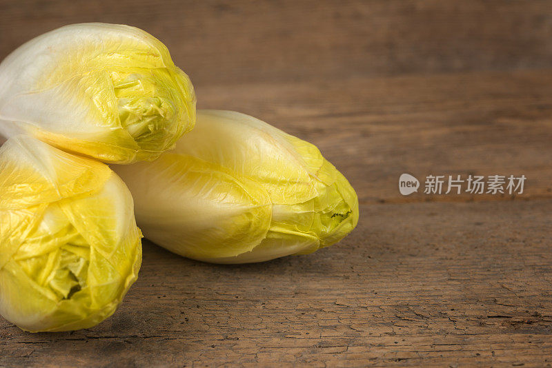 比利时菊苣或菊苣——新鲜健康的食物