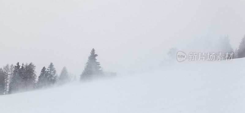 暴雪冬天雪