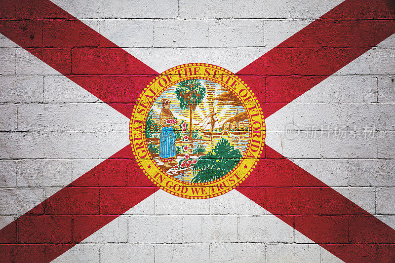 画在墙上的佛罗里达旗