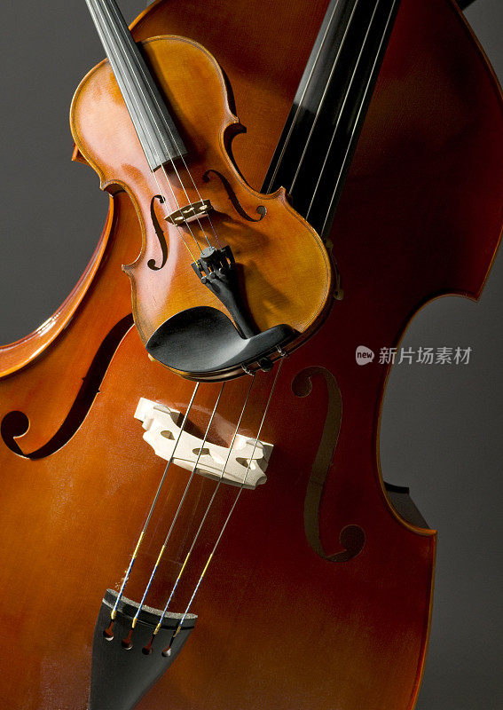 小提琴和低音