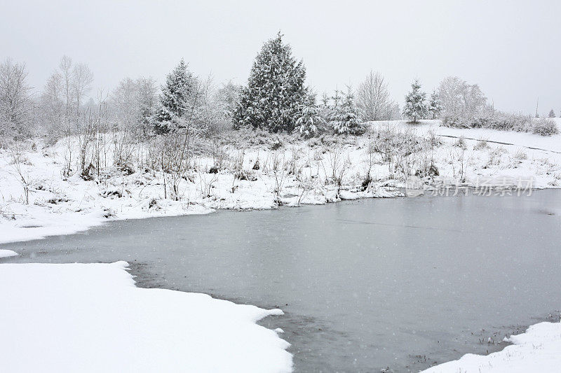 洪水平原上的雪:加拿大不列颠哥伦比亚省的乡村景色