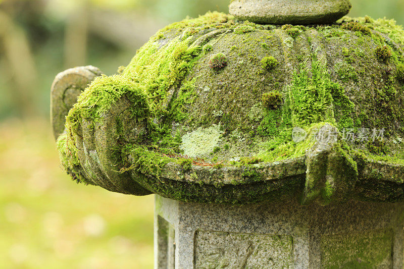 日本花园里用苔藓装饰的石头