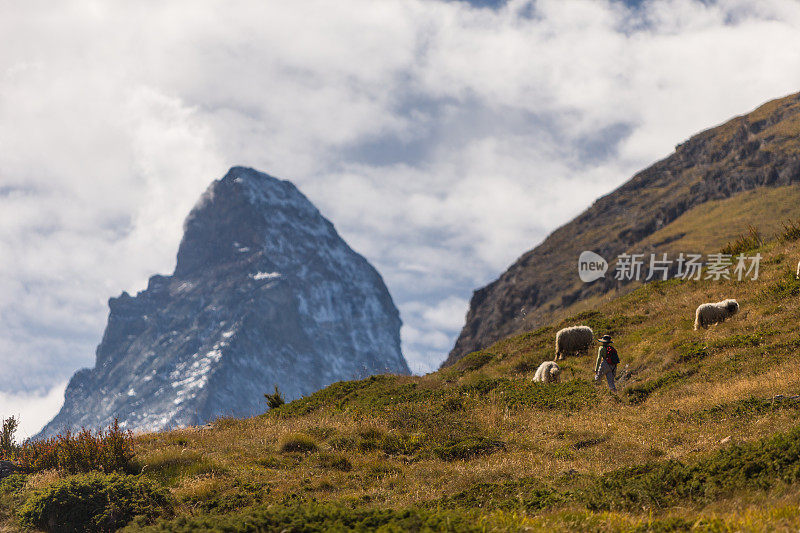 在瑞士阿尔卑斯山徒步旅行