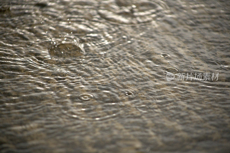 雨水水坑